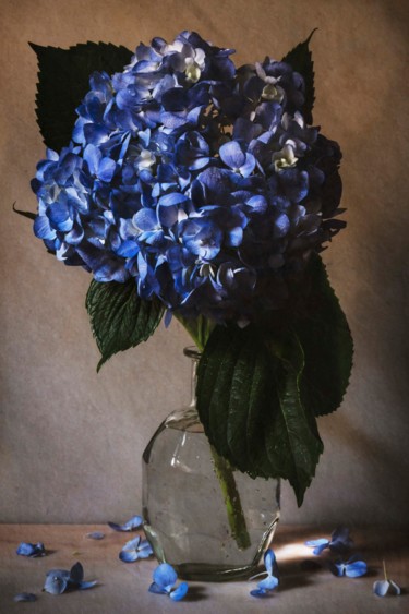 Photography titled "Hortensia" by Sandra Platas Hernández, Original Artwork, Digital Photography