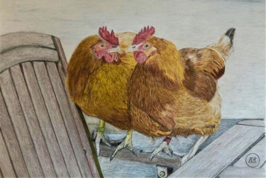 Poules au jardin