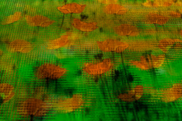 Digitale Kunst mit dem Titel "Mohn im Mohnfeld" von Sigrid Gombert, Original-Kunstwerk, Digitale Malerei