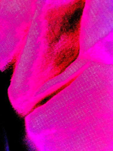 摄影 标题为“Folding neons” 由Greg Powell, 原创艺术品, 数码摄影