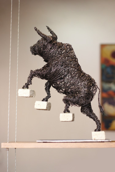 Evolution (47x35x14 3.7kg iron, perlite) 雕塑 标题为“Evolution (47x35x14…” 由Karen Axikyan, 原创艺术品, 金属