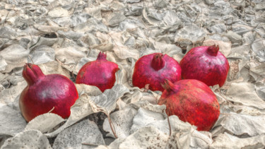 摄影 标题为“Armenian pomegranat…” 由Edgar Nazaryan, 原创艺术品, 数码摄影