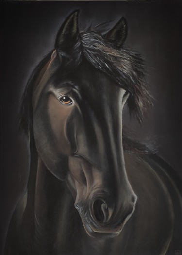 绘画 标题为“Horse Lusitano” 由Antonina Leshchenko, 原创艺术品, 油