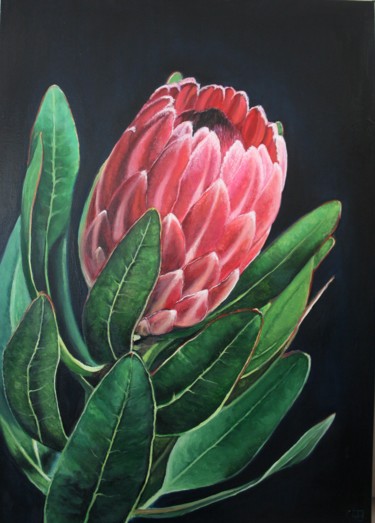 绘画 标题为“Protea” 由Antonina Leshchenko, 原创艺术品, 油