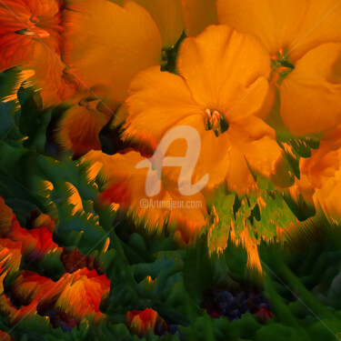 Photographie intitulée "Floraison avancée" par Françoise Aubert-Moreau, Œuvre d'art originale, Photographie manipulée