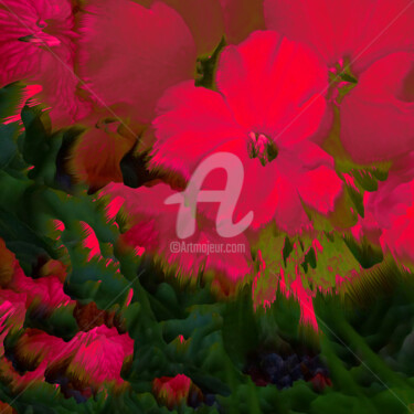 Photographie intitulée "Floraison avancée r…" par Françoise Aubert-Moreau, Œuvre d'art originale, Photographie manipulée