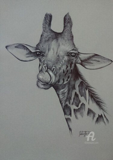 图画 标题为“Girafe” 由Bérengère Labarthe (Lab-Art), 原创艺术品, 圆珠笔