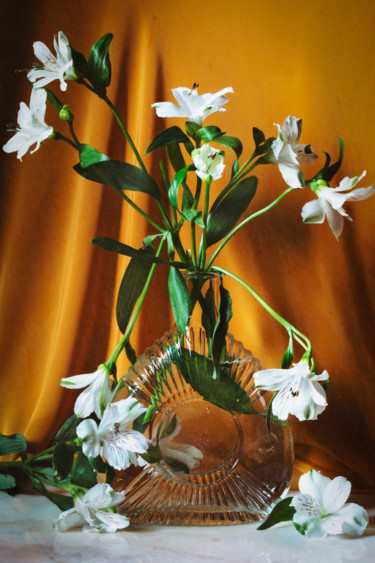 Photography titled "La Elegancia de la…" by Sandra Platas Hernández, Original Artwork, Digital Photography