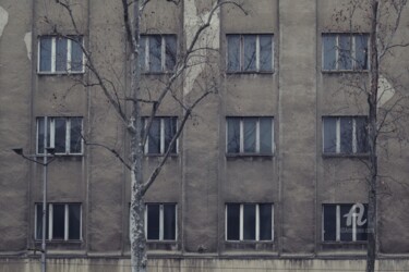 摄影 标题为“Windows” 由Alen Gurovic, 原创艺术品, 非操纵摄影