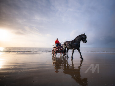 Photographie intitulée "Le cheval qui venai…" par Pascal Viaud, Œuvre d'art originale, Photographie numérique