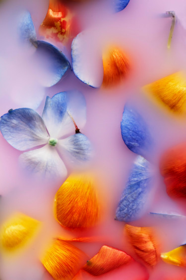 Photography titled "El lenguaje de las…" by Sandra Platas Hernández, Original Artwork, Digital Photography