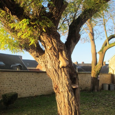 En l'arbre,  le visage de Jésus en Croix