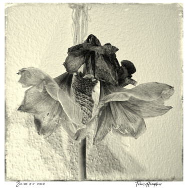 Photography titled "zen365#21" by Franz Hümpfner, Original Artwork, Digital Photography