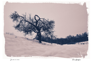 Photography titled "zen365#23" by Franz Hümpfner, Original Artwork, Digital Photography
