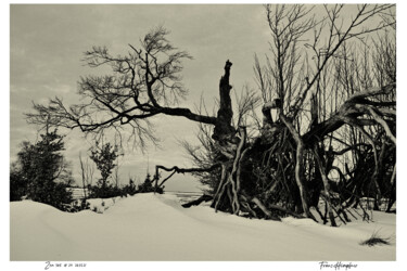 Photography titled "zen365#24" by Franz Hümpfner, Original Artwork, Digital Photography