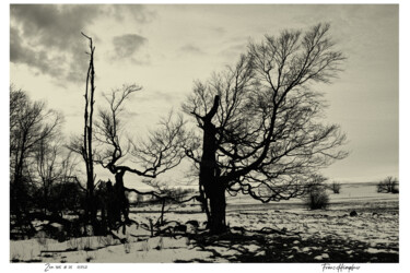 Photography titled "zen365#25" by Franz Hümpfner, Original Artwork, Digital Photography