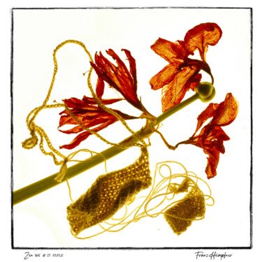 Photography titled "zen365#27" by Franz Hümpfner, Original Artwork, Digital Photography