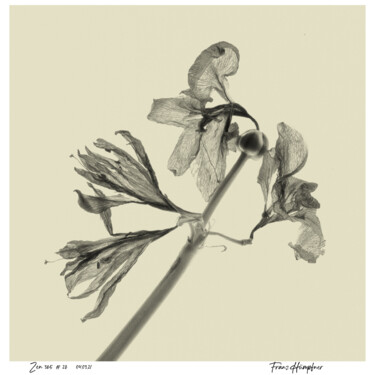 Photography titled "zen365#28" by Franz Hümpfner, Original Artwork, Digital Photography