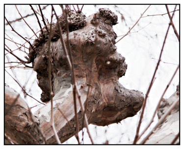 Photography titled "Conciliabule #2" by Chupalia, Original Artwork, Digital Photography