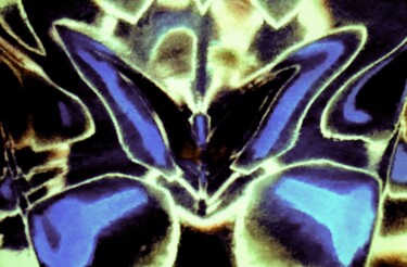 摄影 标题为“Butterfly 1b” 由Ken Lerner, 原创艺术品, 数码摄影