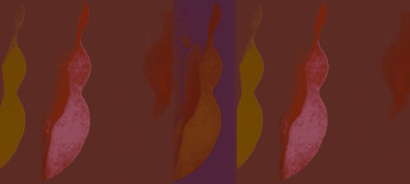 Digital Arts titled "Frames" by Kirlian, Original Artwork, Digital Painting