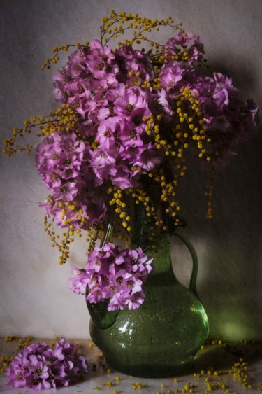 Photography titled "Mimosa" by Sandra Platas Hernández, Original Artwork, Digital Photography
