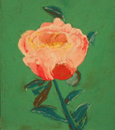 Pivoine