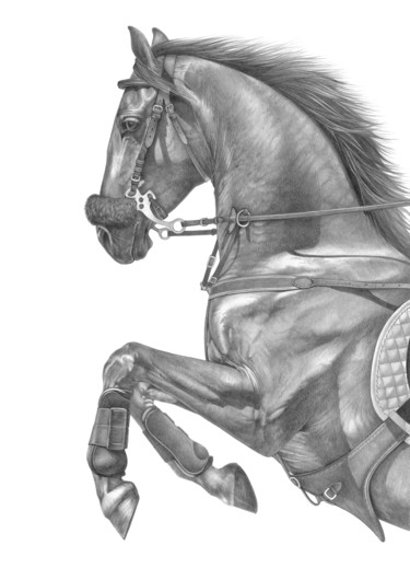 Pencil drawing of a jumping horse 图画 标题为“Pencil drawing of a…” 由Irynahorseart, 原创艺术品, 铅笔