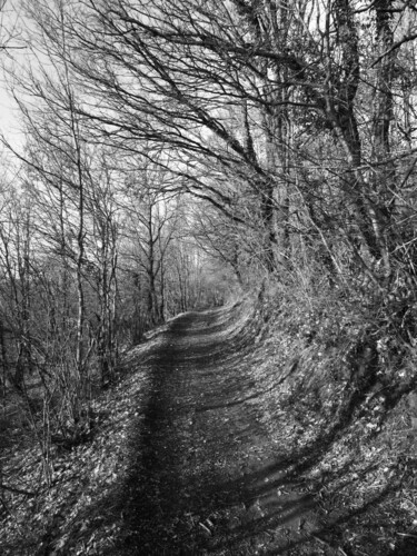제목이 "Sur le sentier"인 사진 Florence Pouget-Landrieu로, 원작, 디지털
