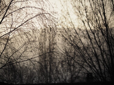 Photography titled "A travers les arbres" by Florence Pouget-Landrieu, Original Artwork, Digital Photography