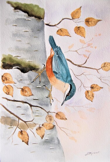 Peinture intitulée "sitelle-  aquarelle…" par Patricia Giroldini Hyvernat, Œuvre d'art originale, Aquarelle