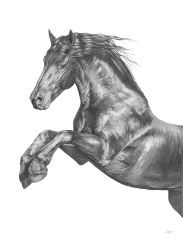 Pencil drawing of a Friesian horse 图画 标题为“Pencil drawing of a…” 由Irynahorseart, 原创艺术品, 铅笔