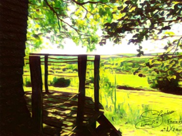 Peinture intitulée "cabane campagne 1%" par Thomas Blondeau-Dumoulin, Œuvre d'art originale, Photo montage Monté sur Panneau…