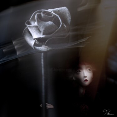 Фотография под названием "Steel rose" - Eugene Pitenin, Подлинное произведение искусства, Манипулированная фотография
