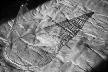 Projet 365 #195 - Chapeau pointu Photographie intitulée "Projet 365 #195 - C…" par Sharlie Evans, Œuvre d'art originale, Photographie numérique