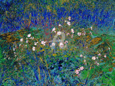 Photographie intitulée "Printemps2" par Françoise Aubert-Moreau, Œuvre d'art originale, Photographie numérique