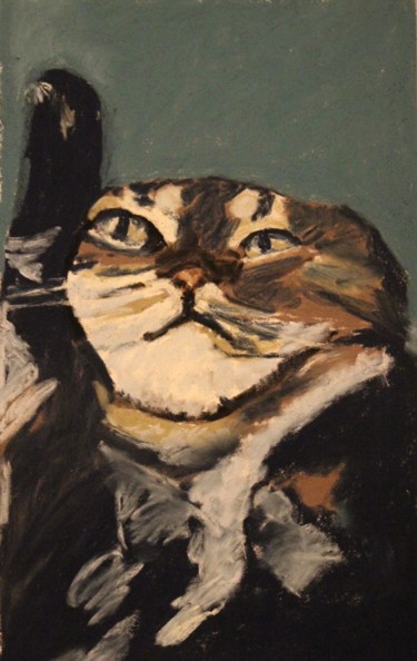 Le chat beauté