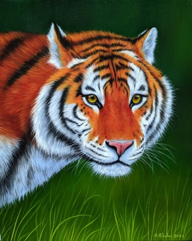 绘画 标题为“Tiger portrait” 由Shahen Aleksandryan, 原创艺术品, 油