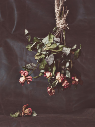 Photography titled "Rosas Colgantes" by Sandra Platas Hernández, Original Artwork, Digital Photography