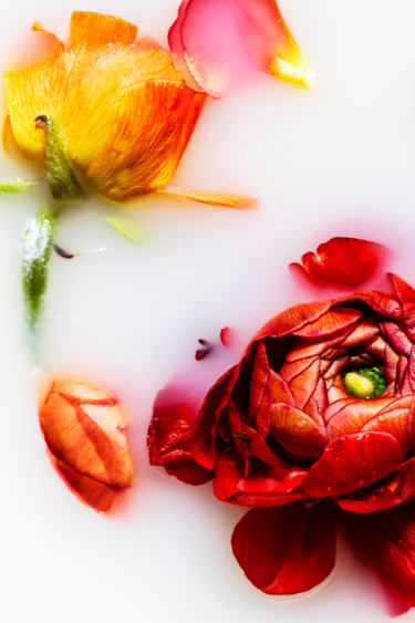 Photography titled "El lenguaje de las…" by Sandra Platas Hernández, Original Artwork, Digital Photography