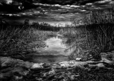 제목이 "Quiet backwater (Eq…"인 사진 Alexander Tarasenkov로, 원작, 조작되지 않은 사진
