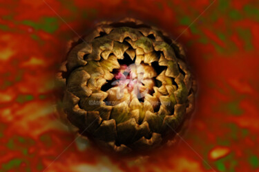 MUTATION 02