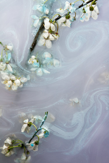 Photography titled "Blue Petals" by Sandra Platas Hernández, Original Artwork, Digital Photography