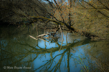 Photographie intitulée "Reflet" par Mata, Œuvre d'art originale, Photographie numérique