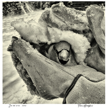 Photography titled "zen365#36" by Franz Hümpfner, Original Artwork, Digital Photography