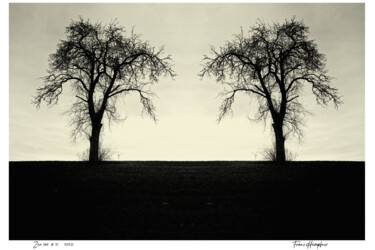 Photography titled "zen365#37" by Franz Hümpfner, Original Artwork, Digital Photography