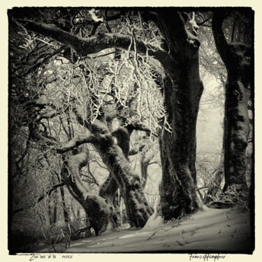 Photography titled "zen365#38" by Franz Hümpfner, Original Artwork, Digital Photography