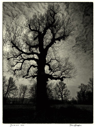 Photography titled "zen365#53" by Franz Hümpfner, Original Artwork, Digital Photography