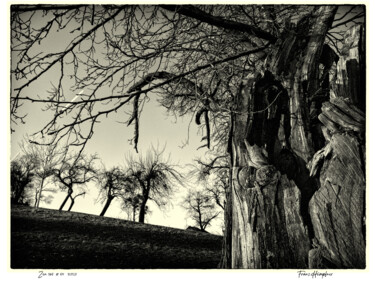 Photography titled "zen365#54" by Franz Hümpfner, Original Artwork, Digital Photography