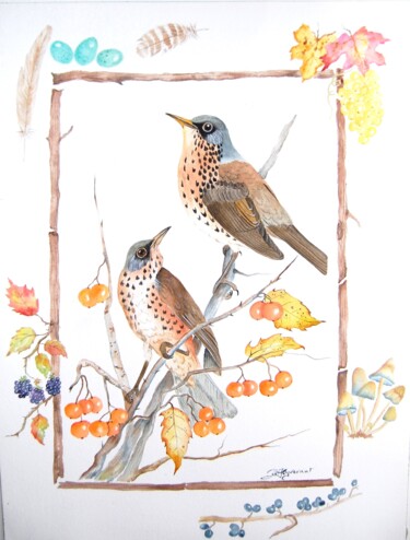 grive mauvis - aquarelle originale signée Painting titled "grive mauvis - aqua…" by Patricia Giroldini Hyvernat, Original Artwork, Watercolor